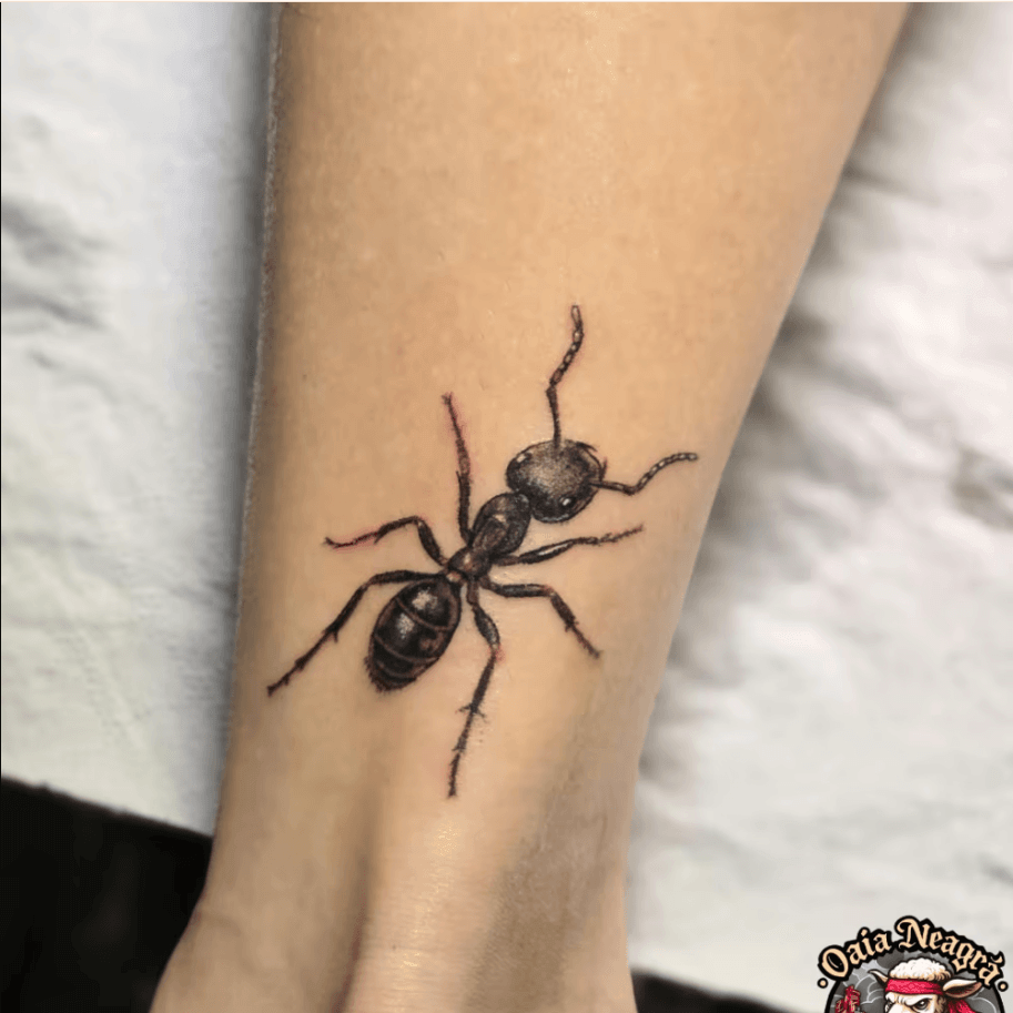 tatuajele pentru incepatori tatuajele pentru incepatori